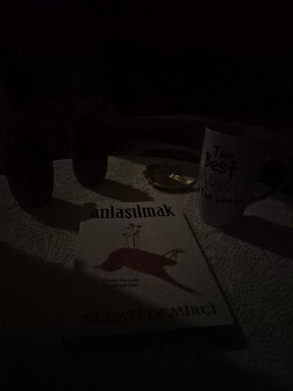 İndigo Kitap Anlaşılmak - Necati Demirci