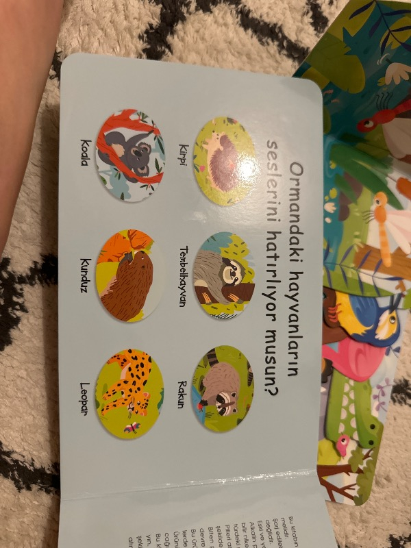 Çalışkan Hayvanlar - Orman (Sesli Kitap)