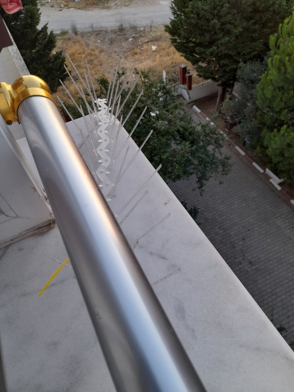 Expel Plastik Kuşkonmaz Bariyer Kuş Engelleyici Tel 3D Model 10'lu