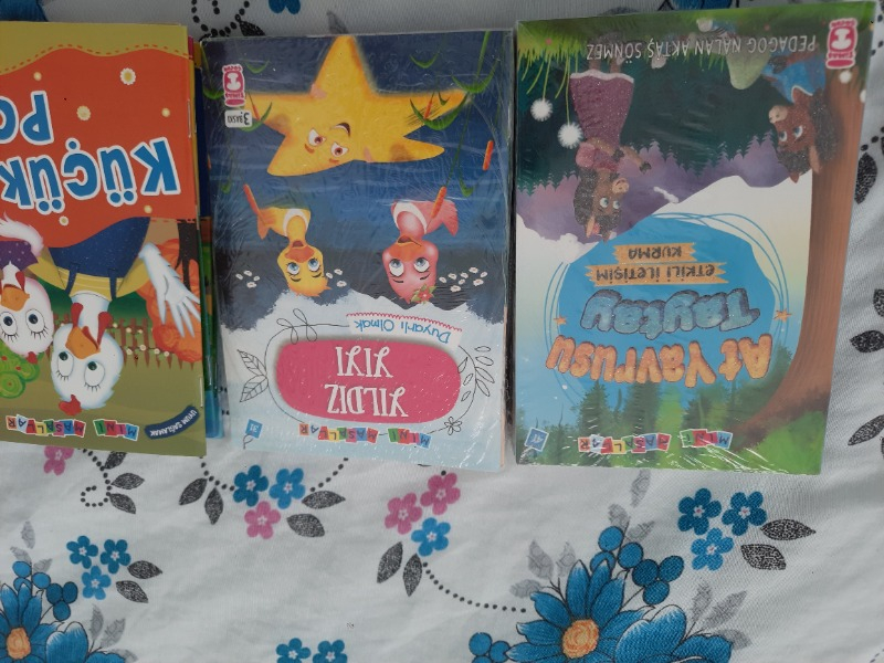 Mini Masallar Seti 3 (10 Kitap) - Nalan Aktaş Sönmez