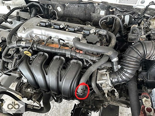 GOODYEAR KIRMIZI ORGANİK ANTİFRİZ -56 °C 1 LT