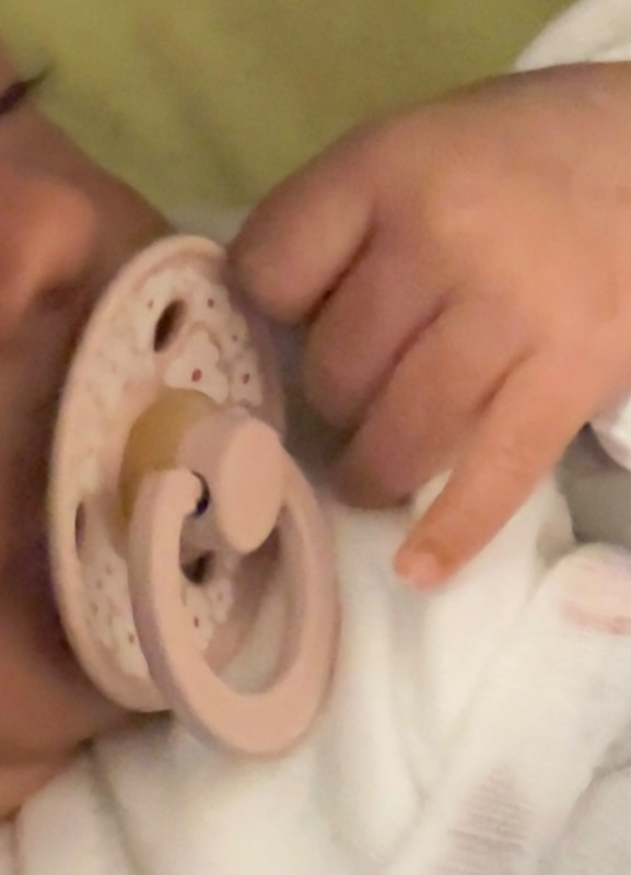 Bibs Studio Jasmine Field Kauçuk Emzik-Blush  0 - 6 Ay