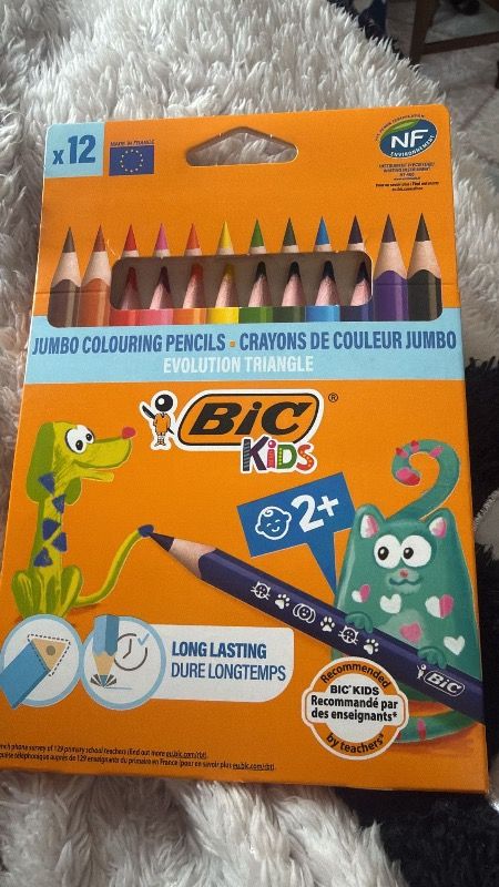 Bic Evolution Üçgen jumbo Boya Kalemi 12 Renk 1632