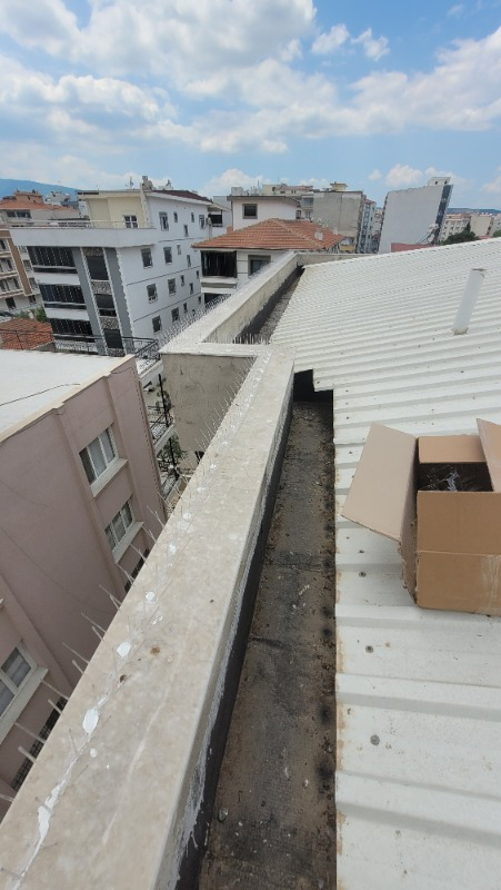 Expel Plastik Kuşkonmaz Bariyer Kuş Engelleyici Tel 3D Model 50'li