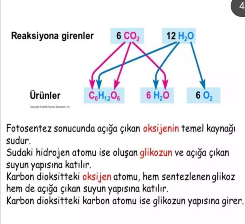 visual-comment-img