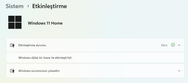 Microsoft Windows 11 Home - Elektronik Lisans