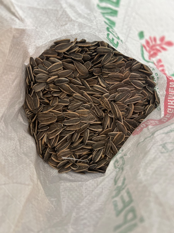 ÇerezAvm Çiğ Siyah Ay Çekirdeği 1 kg