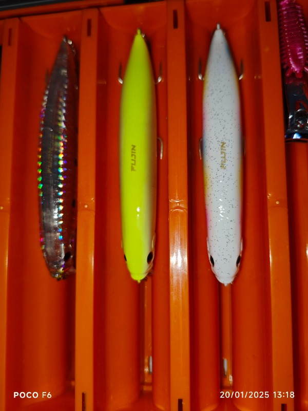 Fujin Punisher 10,5Cm 16Gr Floating Suni Yem