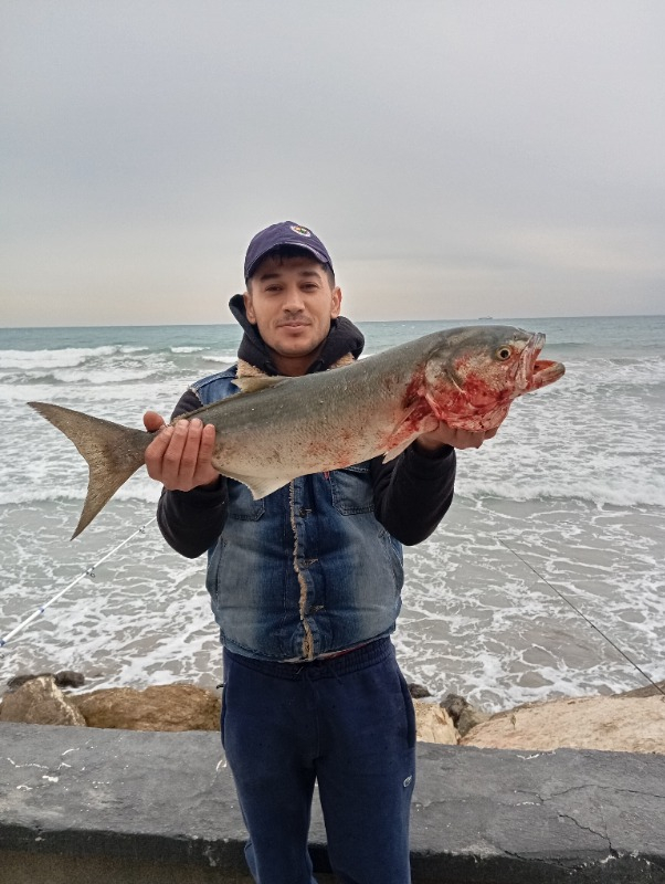 Captain 1658 Archer 420CM 3 Parça Surf Kamış 100-250GR Atar