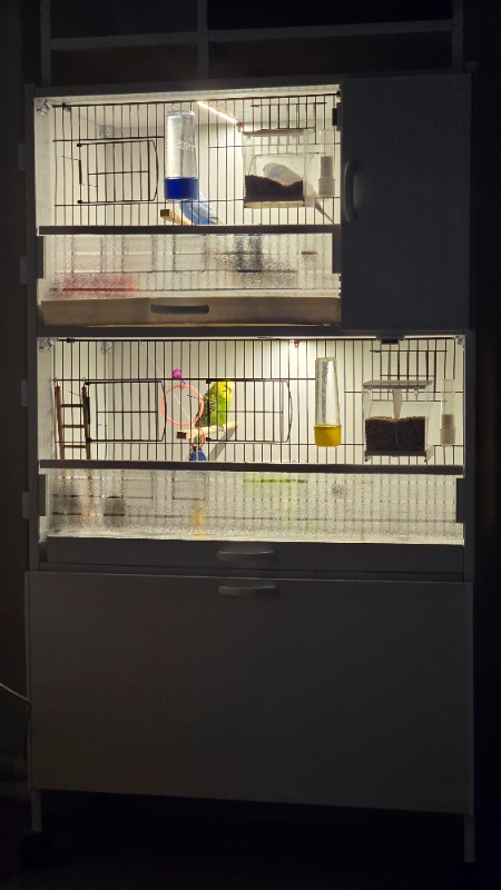 visual-comment-img