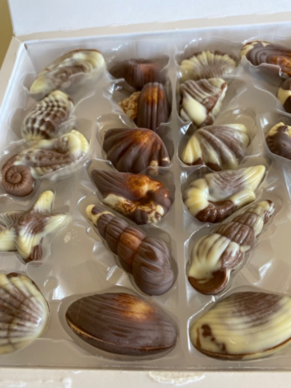 J. D. Gross Belgian Chocolate Sea Shells Deniz Kabuğu 250 gr