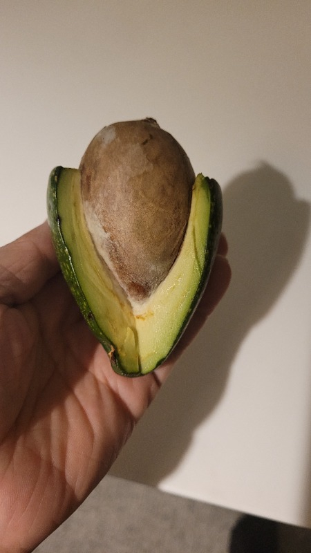 AVOKADO 1 KG TAZE HASAT