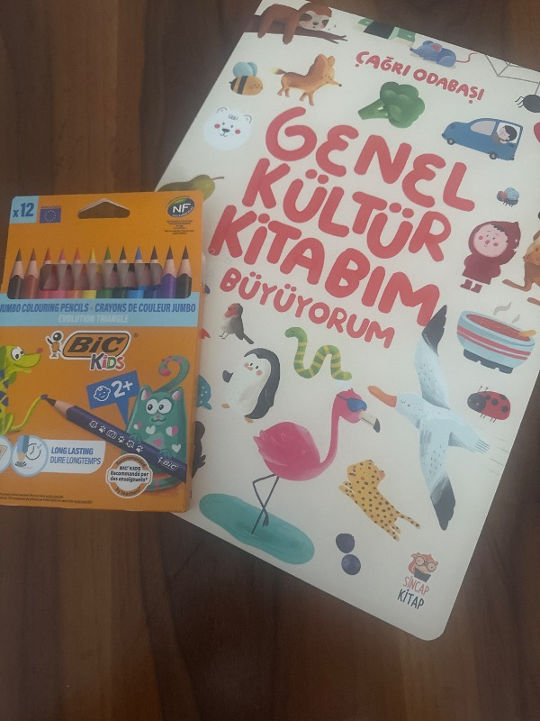 Bic Evolution Üçgen jumbo Boya Kalemi 12 Renk 1632