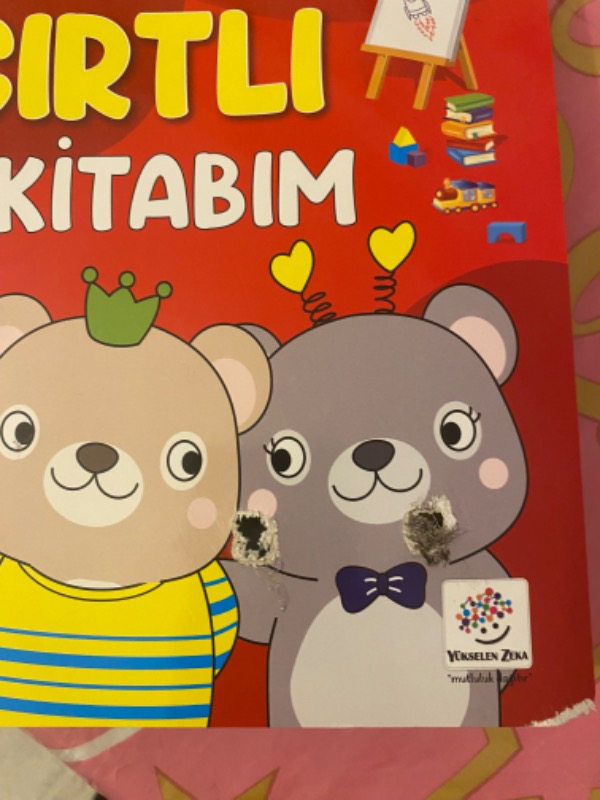 4-6 Yaş Cırt Cırtlı Etkinlik Kitabım