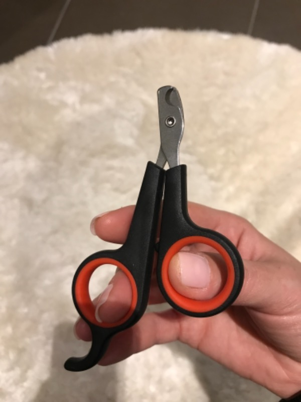 Maxi Life Kedi Tırnak Makası 12cm