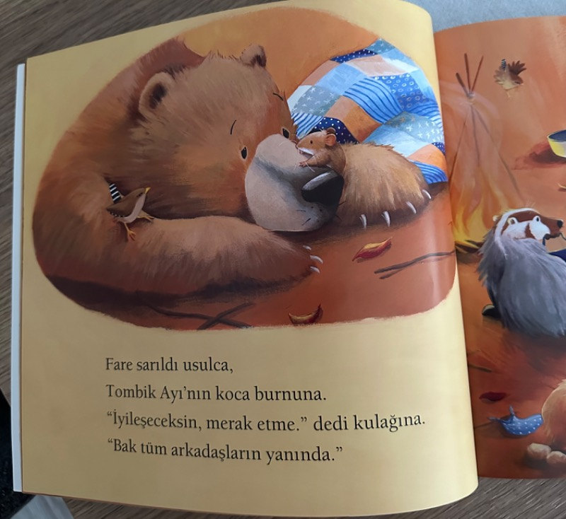Tombik Ayı Hastalanınca - Jane Chapman