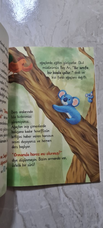 Koala Olmanın Sırrı - İhsan Kartoğlu