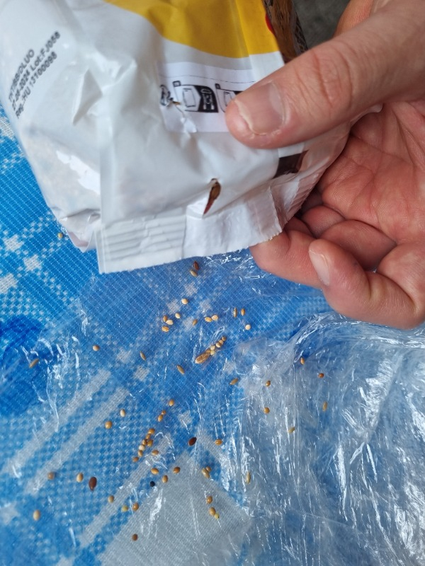 Versele Laga Paraket Yemi 1 kg
