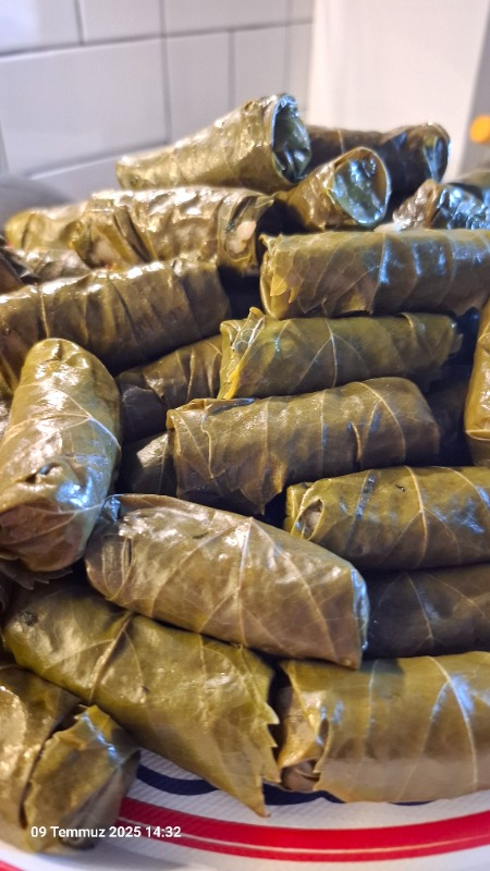 Rota Prowrap Yaprak Sarma Makinası RT305