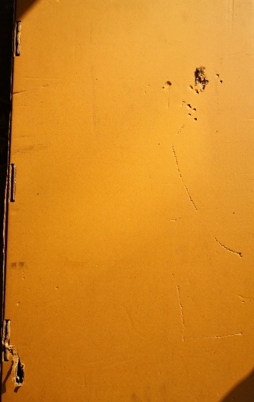visual-comment-img
