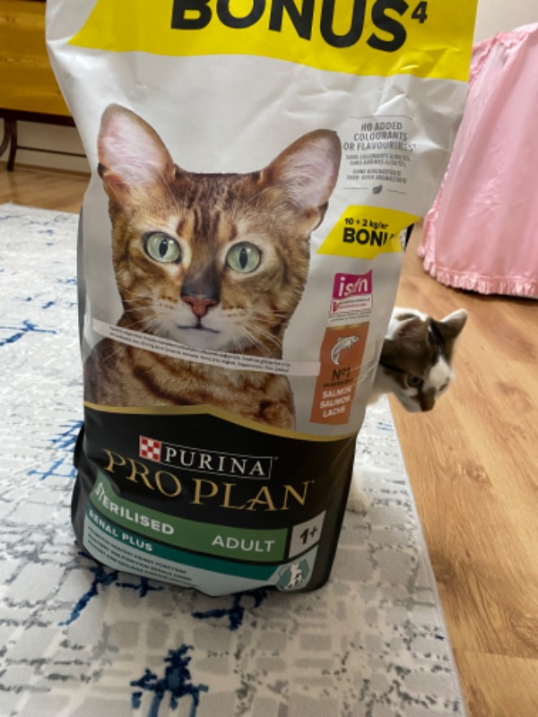 Pro Plan Somonlu Kısırlaştırılmış Kuru Kedi Maması 10+2 Kg