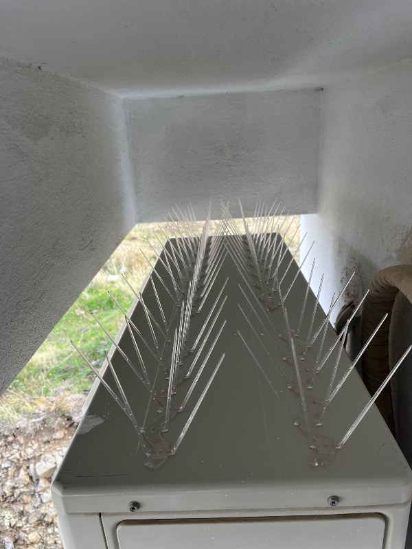 Expel Plastik Kuşkonmaz Bariyer Kuş Engelleyici Tel 3D Model 10'lu