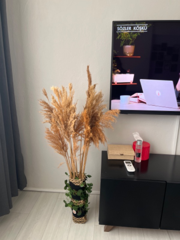 visual-comment-img