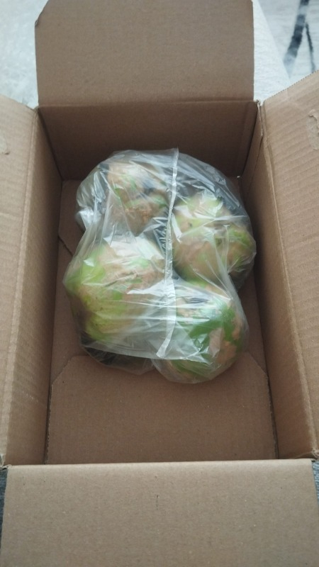Ayva (1 kg )