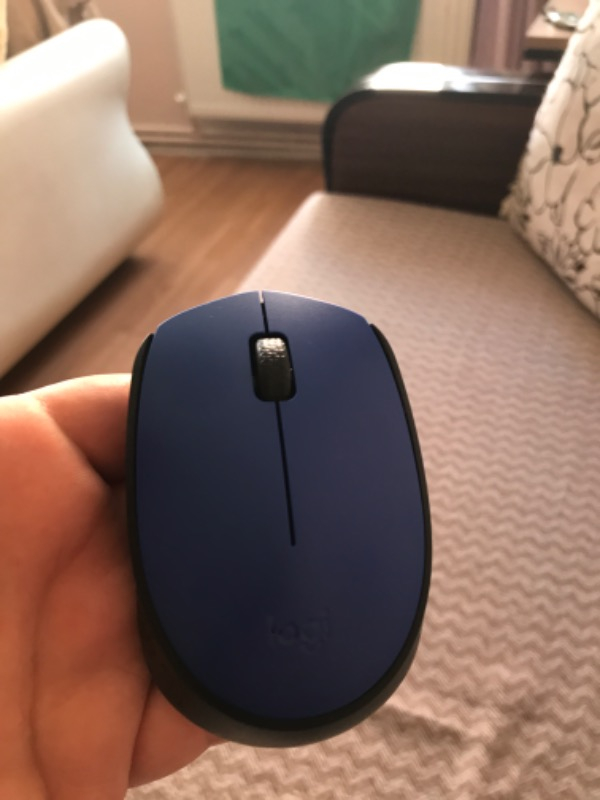 Logitech M171 USB Alıcılı Kablosuz Kompakt Mouse - Mavi