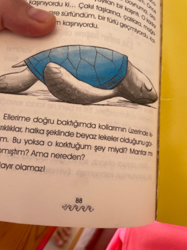 Sırtımdaki Okyanus
