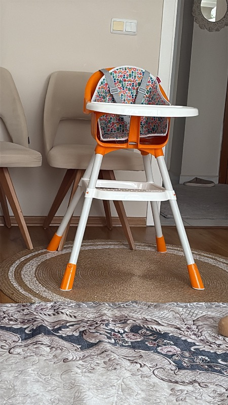 FisherPrice Mama Sandalyesi
