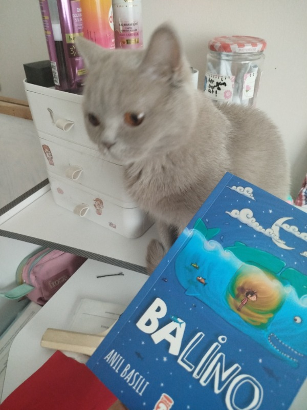 Balino - Anıl Basılı