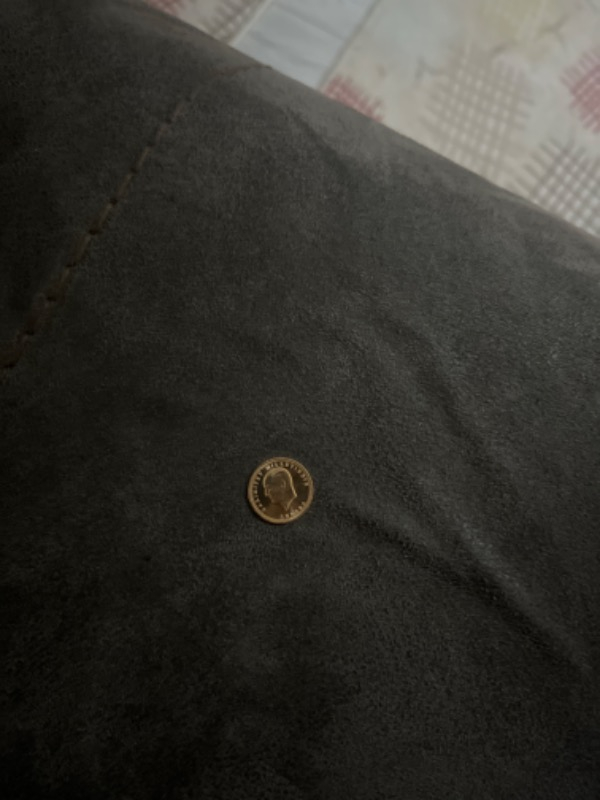 Ata Lira Yeni Yarım Altın