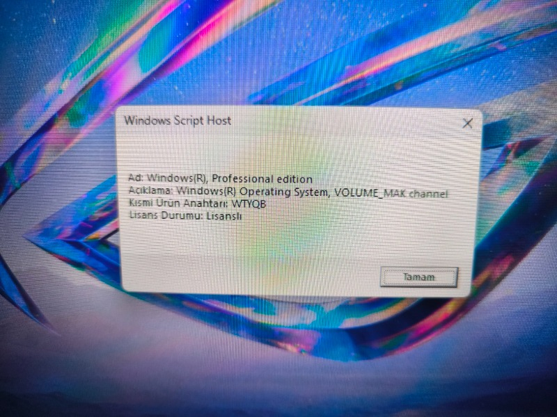 Microsoft Windows 11 Pro - Elektronik Lisans
