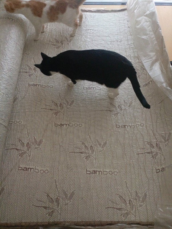 Us. Sleeping Full Ortopedik Bamboo Visco Yatak (17Cm) 160X200