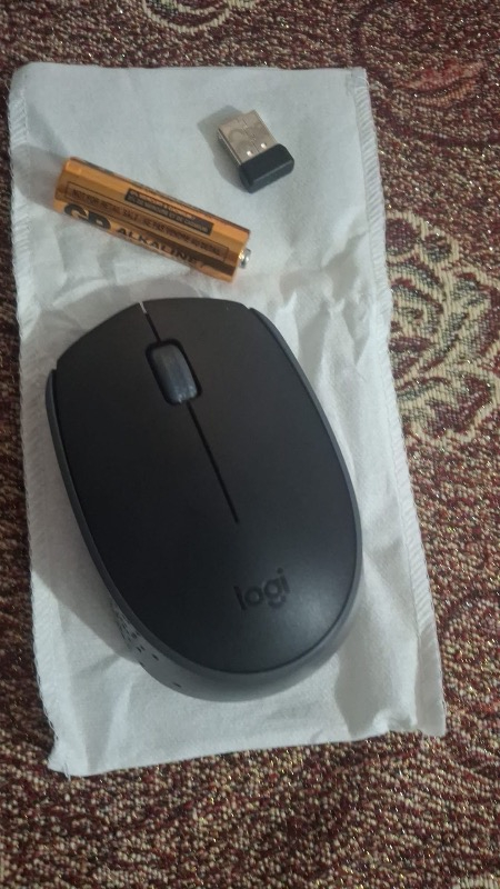 Logitech M171 USB Alıcılı Kablosuz Kompakt Mouse - Siyah