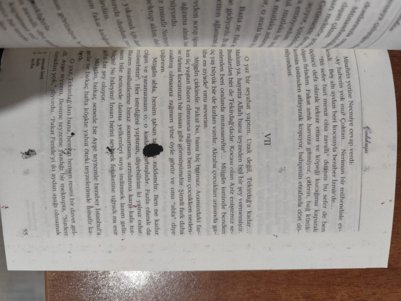 İnkılap Kitabevi Çalıkuşu - Reşat Nuri Güntekin Ciltsiz 376 Sayfa Türkçe Edebiyat Eseri