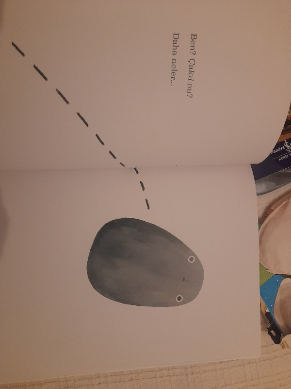 Petra - Marianna Coppo