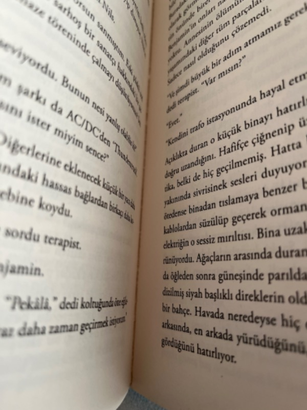Hayatta Kalanlar - Alex Schulman