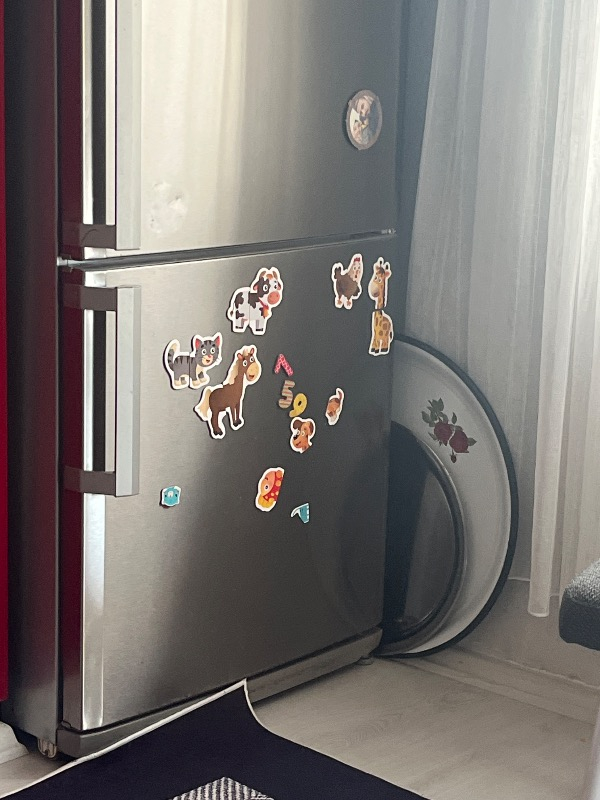 Yükselen Zeka 12-36 Ay İlk Magnet Puzzle