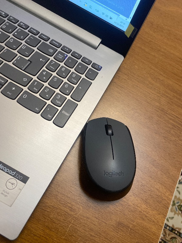 Logitech M170 USB Alıcılı Kablosuz Kompakt Mouse - Gri