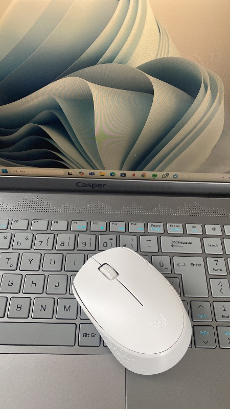 Logitech M171 USB Alıcılı Kablosuz Kompakt Mouse - Beyaz