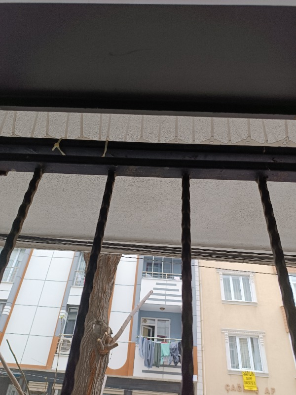 Expel Plastik Kuşkonmaz Bariyer Kuş Engelleyici Tel 3D Model 10'lu