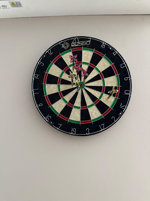 Busso DHT-201 Domuz Kılı Dart Seti 18"