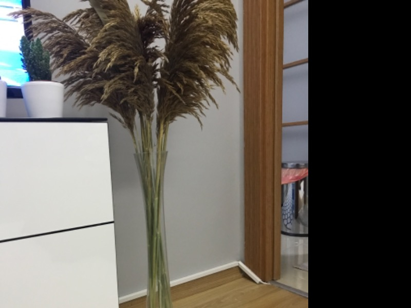 Dolomite Taşı 10 Kg