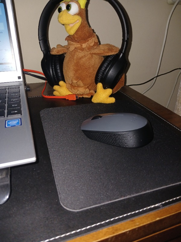 Logitech M170 USB Alıcılı Kablosuz Mouse - Gri