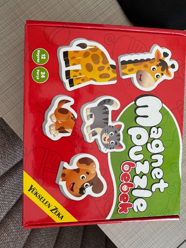 Yükselen Zeka 12-36 Ay İlk Magnet Puzzle