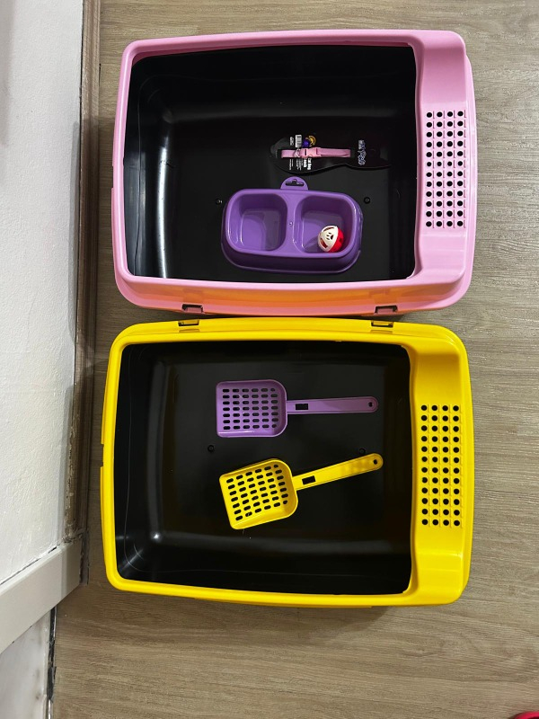 visual-comment-img