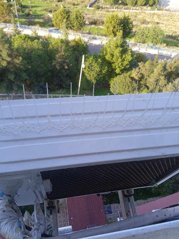 Plastik Kuşkonmaz Bariyer Kuş Engelleyici Tel 3D Model 10'lu