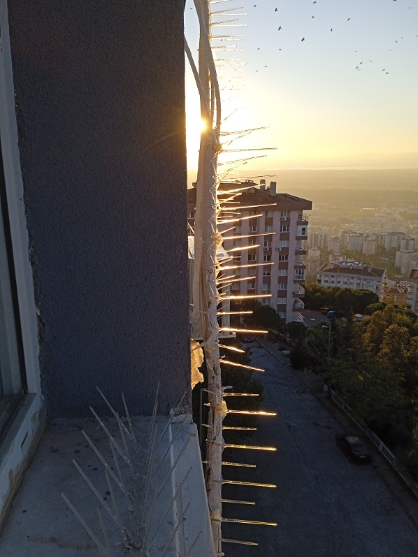 Plastik Kuşkonmaz Bariyer Kuş Engelleyici Tel 3D Model 10'lu